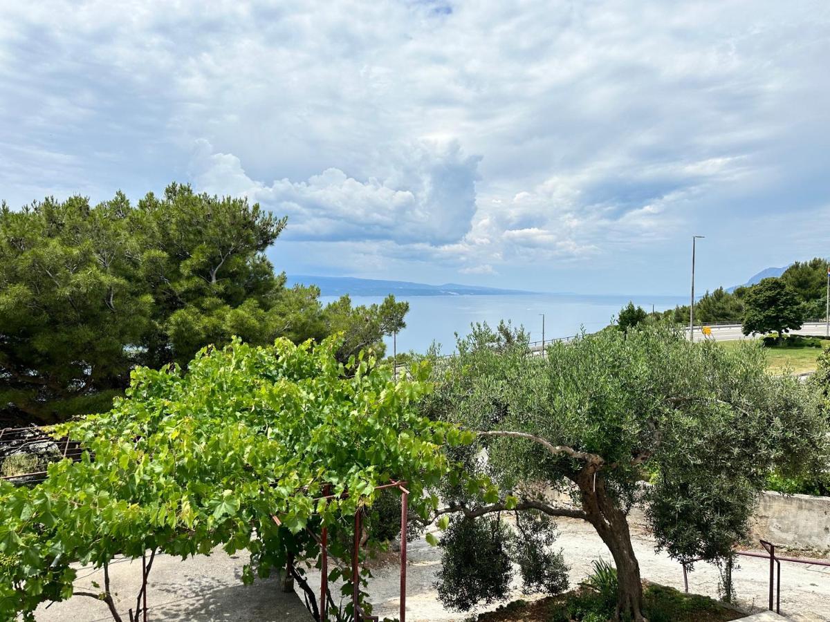Olive View Apartment Brela Exteriér fotografie